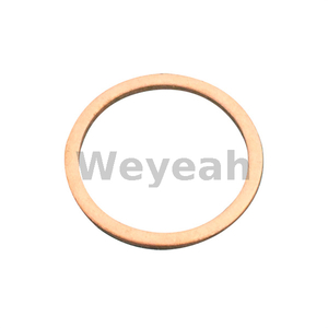 Sealing Ring 01118784 for MWM TCG2020 Gas Engine