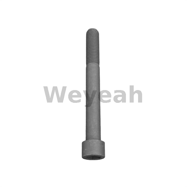 Cheese Head Screw MWM 12343756 suitable for various MWM engines