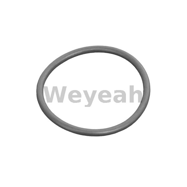 Round sealing ring MWM 12523978 (01153923) suitable for MWM TCG 2020 engines 