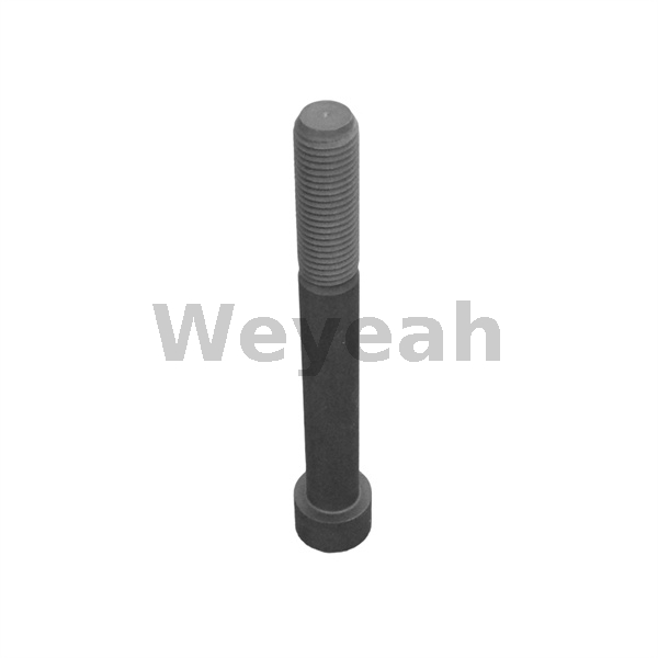 Cheese Head Screw MWM 12343756 suitable for various MWM engines