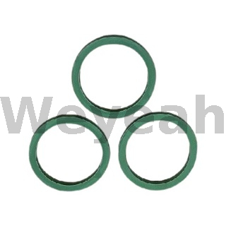 O-ring 100093 for Jenbacher Gas Engine