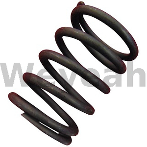 Valve Spring 174473 for Jenbacher Gas Engine