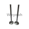 Exhaust Valve 12141699 for MWM TCG2020 Gas Engine