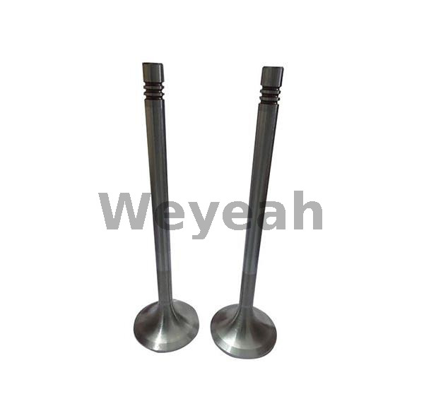 Exhaust Valve 12141699 for MWM TCG2020 Gas Engine