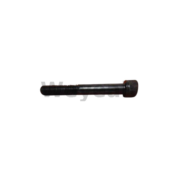 Cylinder Screw 115253 for Jenbacher Engines Type 6