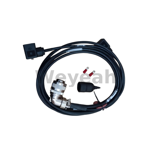 Cable 12322406 for MWM TCG2020 Gas Engine