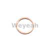 Sealing Ring 01124011 for MWM TCG2020 Gas Engine And Deutz TBD620