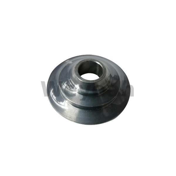 Spring Cap MWM 12280189 original 12280189 