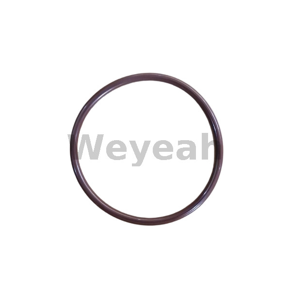Jenbacher 456732 O-ring for Jenbacher Gas Engine