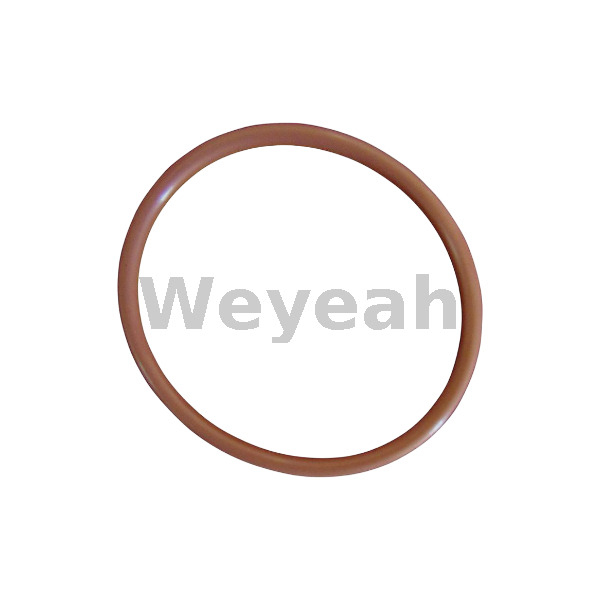 Jenbacher 456718 O-ring for Jenbacher Gas Engine