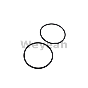 Jenbacher O-ring 105863 for Jenbacher Gas Engine