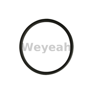 O-ring 100019 for Jenbacher gas engine