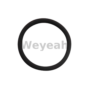 Jenbacher 241824 O-ring for Jenbacher Gas Engine