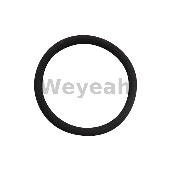 Jenbacher 241824 O-ring for Jenbacher Gas Engine