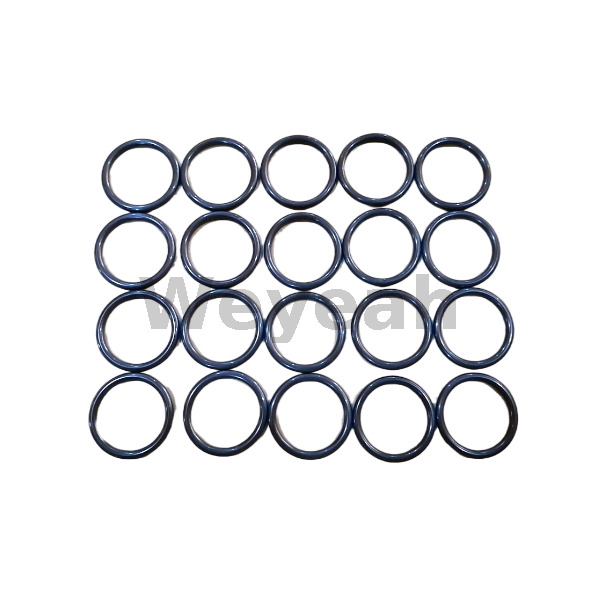 Jenbacher 232808 O-ring for Jenbacher Gas Engine