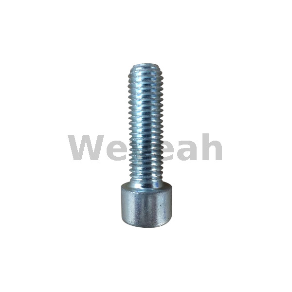 Screw 100214 for Jenbacher gas engine