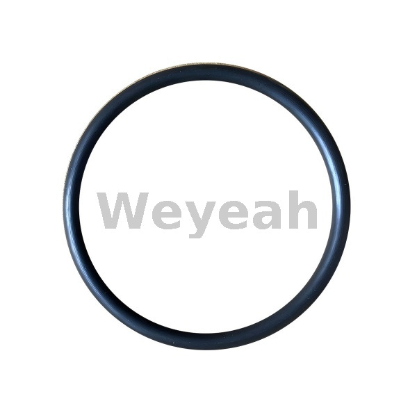 O Ring 1210832 for Jenbacher J320 Gas Engine