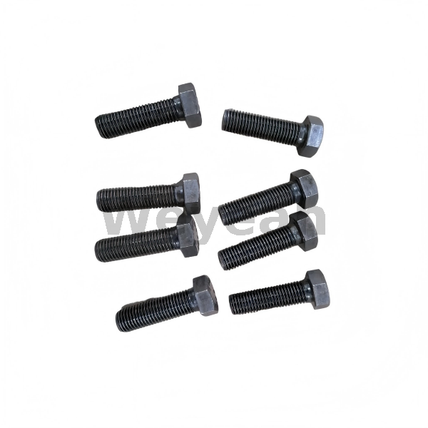 MWM 01143189 Hexagon bolt for MWM TCG2020 gas engine