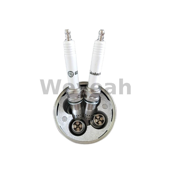 Spark plug 462203 for Jenbacher gas engine