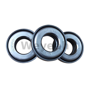Rotocap 110538 for Jenbacher Gas Engine