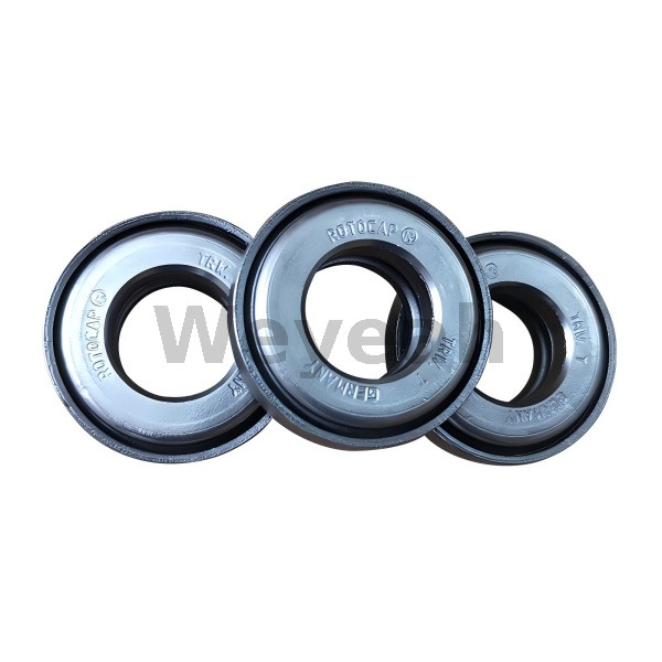 Rotocap 110538 for Jenbacher Gas Engine