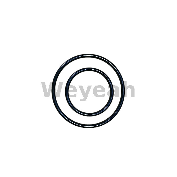 Jenbacher 201602 Sealing Kit for Jenbacher Gas Engine