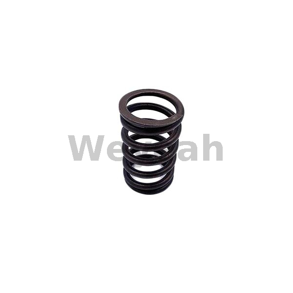 MWM 12134406 valve spring for MWM TCG2020 gas engine