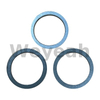 Sealing Ring 438602 for Jenbacher J420 Gas Engine