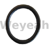 Jenbacher 376482 O-ring for Jenbacher Gas Engine