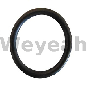 Jenbacher 268610 O-ring for Jenbacher Gas Engine