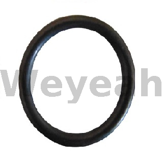 Jenbacher 468727 O-ring for Jenbacher Gas Engine