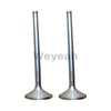 Intake Valve 375631 for Jenbacher Gas Engine