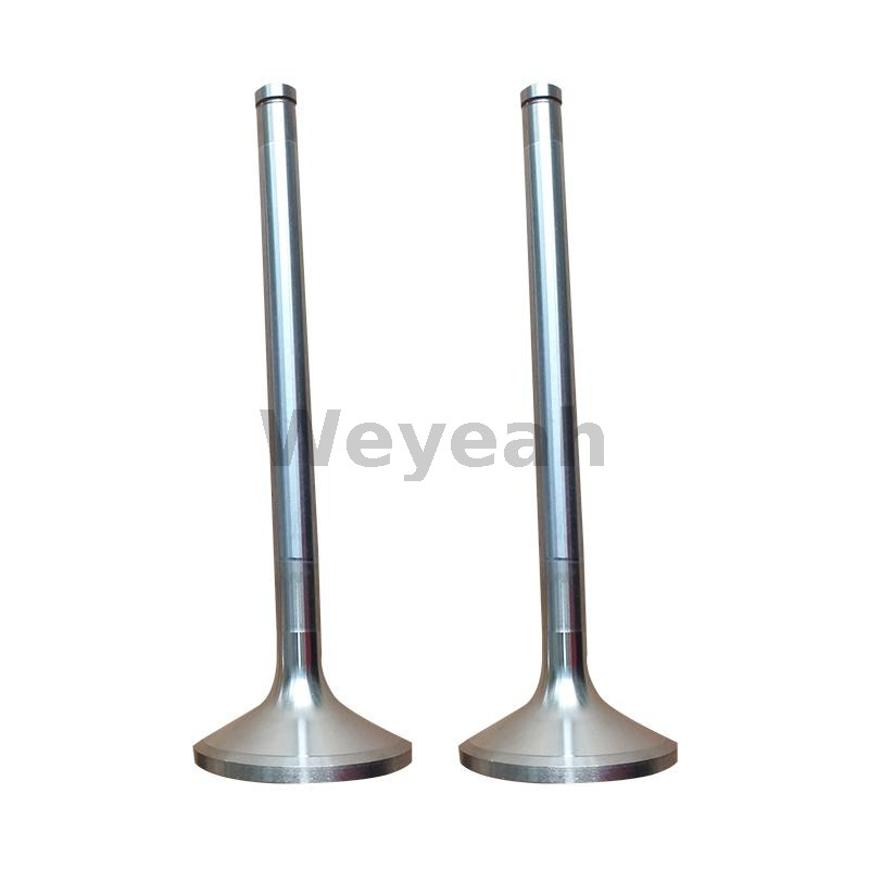 Intake Valve 375631 for Jenbacher Gas Engine