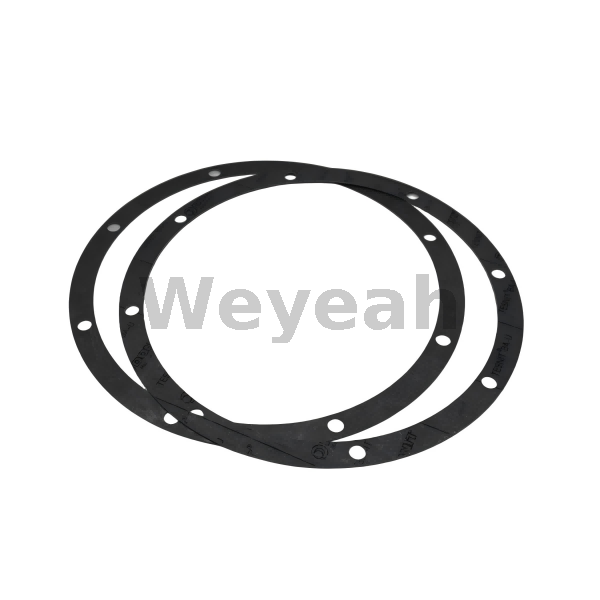 Gasket 12420359 for MWM TCG2020 Gas Engine 
