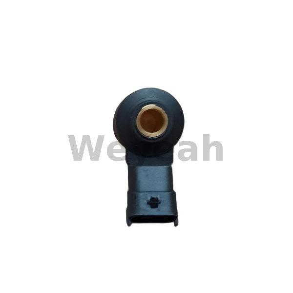 Sensor 04269108 for MWM TCG2020 Gas Engine