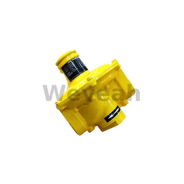 Pressure Regulator 12507242 for MWM TCG2020 Gas Engine