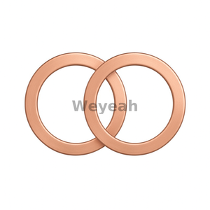 MWM 01118659 sealing ring for MWM gas engine