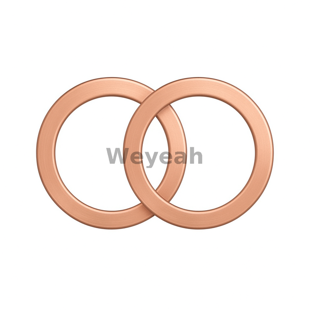 MWM 01118659 sealing ring for MWM gas engine