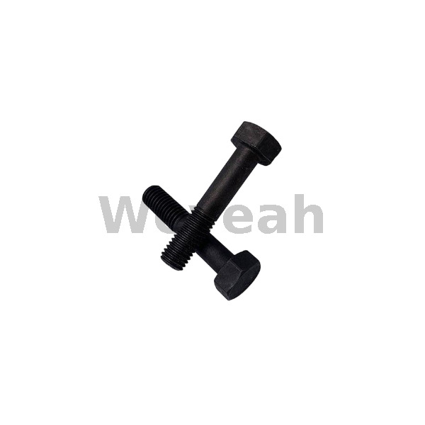MWM 12030750 hexagon nut for MWM TCG2020 gas engine