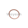 Sealing Ring 100839 for Jenbacher Gas Engine