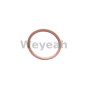 Sealing Ring 100839 for Jenbacher Gas Engine