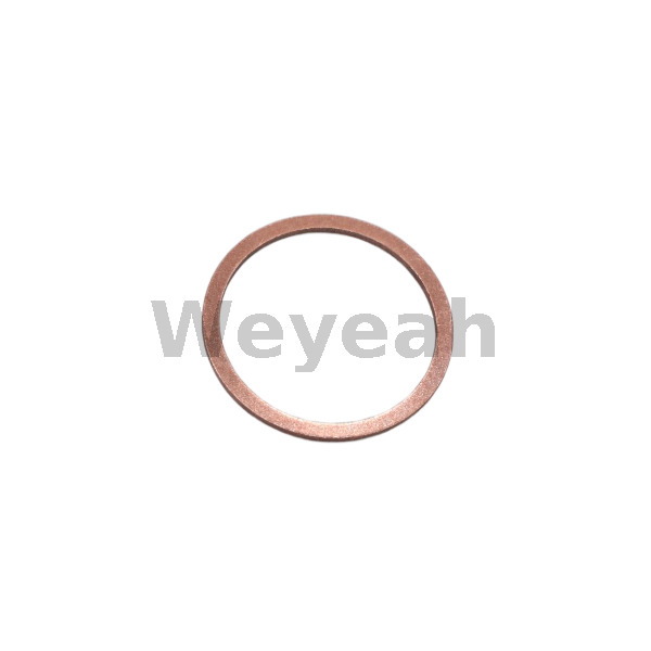 Sealing Ring 100839 for Jenbacher Gas Engine
