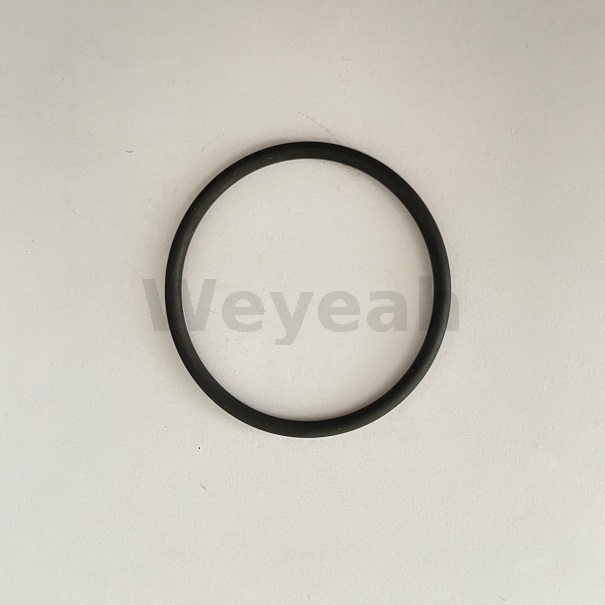 O-ring 100019 for Jenbacher gas engine