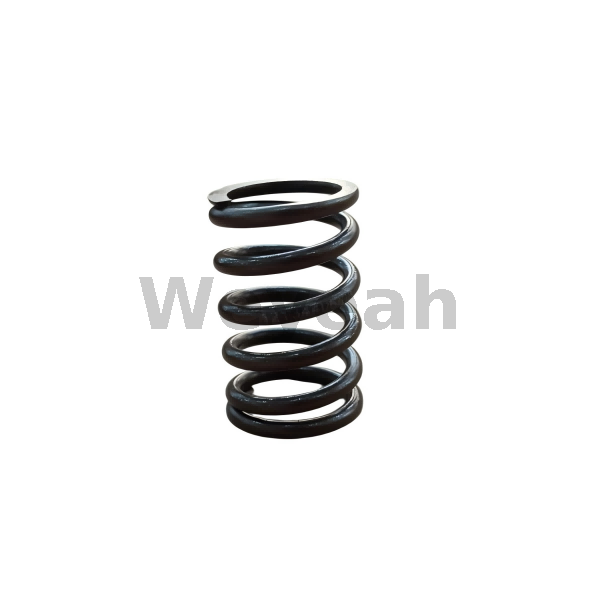 Valve spring 12134406 for MWM TCG2020 Gas Engine 