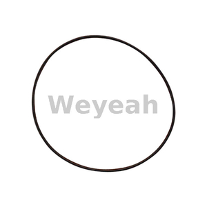 Jenbacher 386808 Sealing Ring for Jenbacher J420 Gas Engine