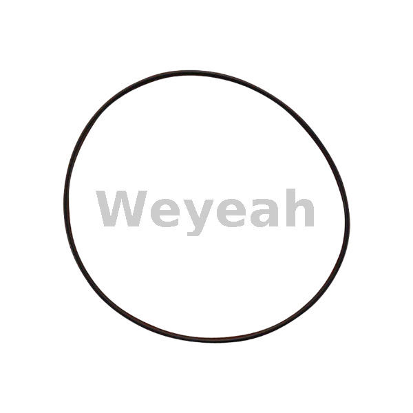 Jenbacher 386808 Sealing Ring for Jenbacher J420 Gas Engine