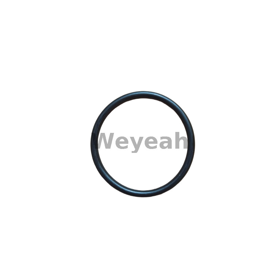 MWM 01160620 O-ring for MWM TCG2020 gas engine