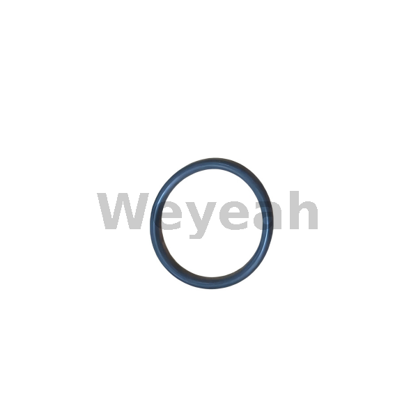 MWM 01171113 O-ring for MWM TCG2020 gas engine