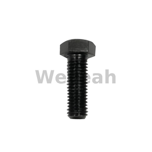 Hexagonal Head Screw 100473 for Jenbacher Gas Engine
