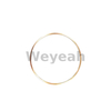 Ring Gasket 12032893 for MWM TCG2020 Gas Engine And Deutz TBD620